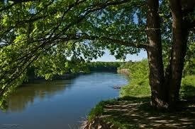 Trees and water landscape image